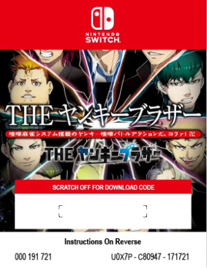 SIMPLE SERIES FOR NINTENDO SWITCH VOL.5 BAD BOY BROTHER - SWITCH 2