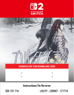 CARTAGRA: THE SICKNESS OF POSSESSORY AND CRAZY - SWITCH 2