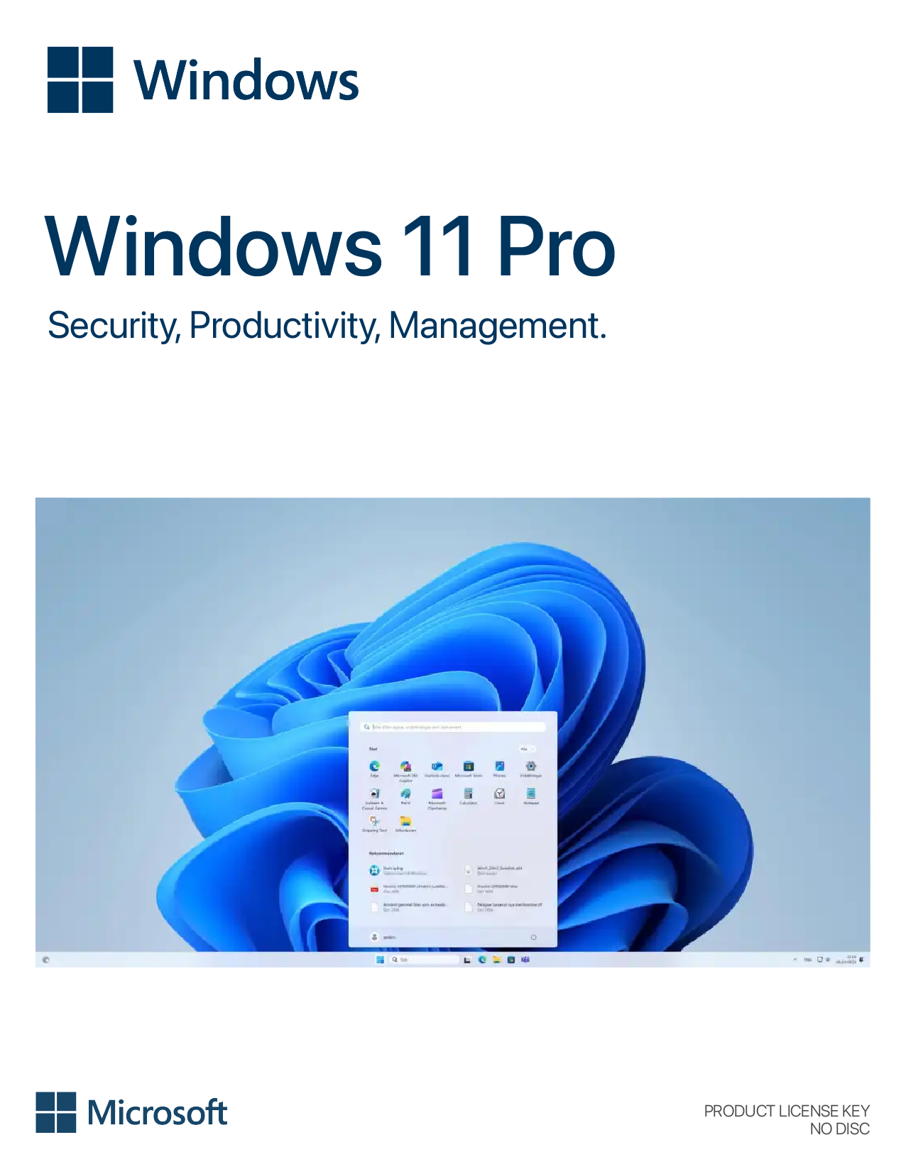 WINDOWS 11 PRO